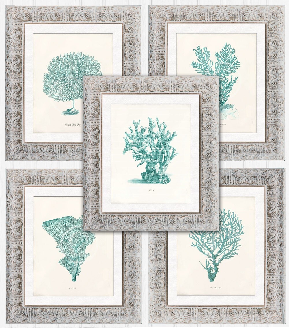 ANY 5 Prints of Your Choice 5 x 7 Inch Wall Decor