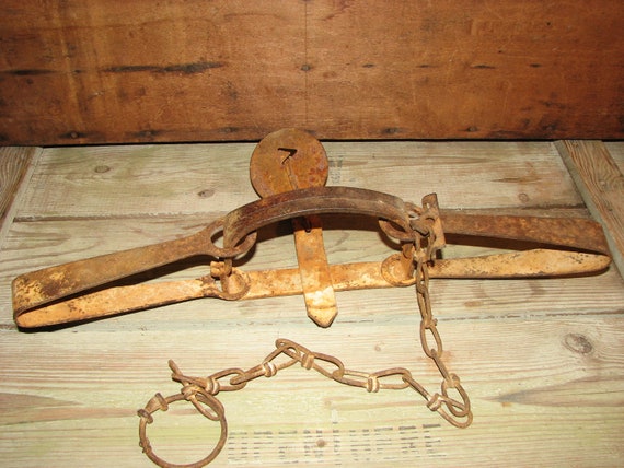 Antique Victor Steel Animal Trap With Chain by thelongacreflea