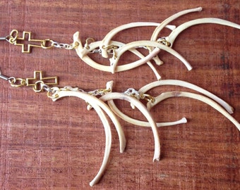 Rib bone earrings, real bone jewelry, Taxidermy jewelry