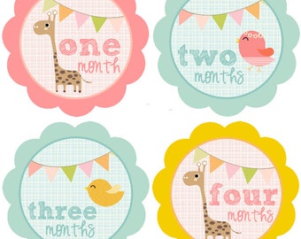 Monthly Baby Girl Stickers Baby Month Stickers Girl Monthly Bodysuit Sticker Banner Bunting Giraffe Birds (Darla)