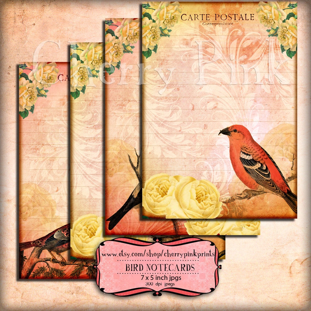 Paper Stationery BIRD NOTECARDS scrapbooking paper supply