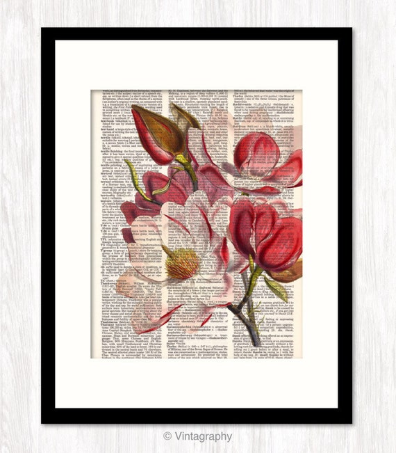 magnolia unique vintage Blossom Print Art Magnolia Botanical Vintage Magnolia Pink Book on