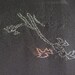 metallic trees on black kimono silk