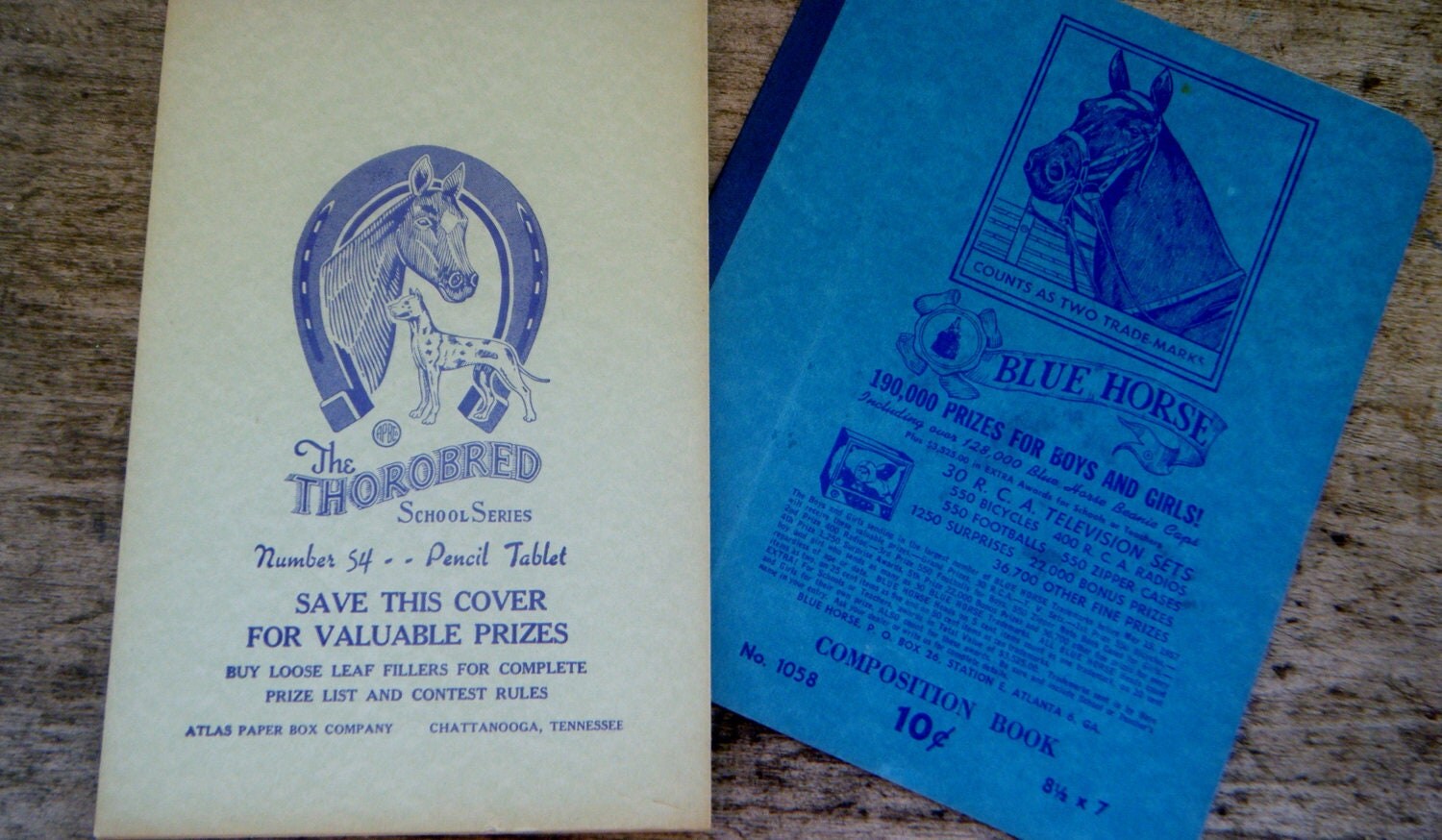 Blue horse notebook picture