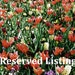 RESERVED LISTINGS for Joo23's Bridesmaids