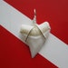 Shark Tooth Necklace Pendant, Modern Day White Shark tooth, Silver plated wire wrap