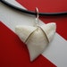 Shark Tooth Necklace, Modern Day White Shark tooth, Silver plated wire, Soft Rubber cord