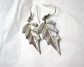 Silver Decidious Leaf Earring.