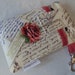 Cell phone cover / iPhone case / Droid / HTC / Motorola Triumph / Ready to ship French post print