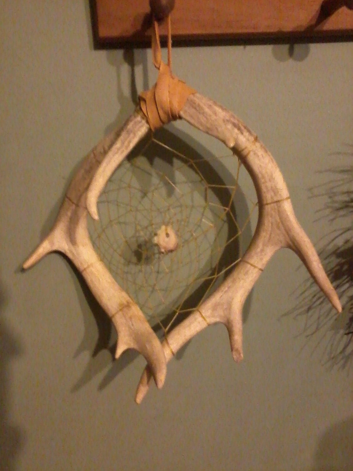 Deer Antler Dream Catcher