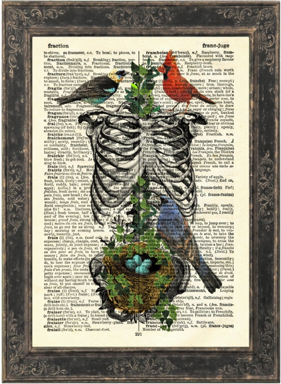 Anatomical Rib Cage with Birds Nesting with by