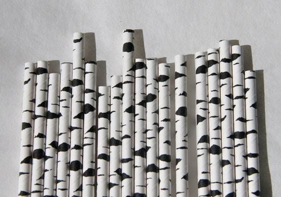 beve Birch Paper Straw, Pack of 100, designed by beve Il_570xn