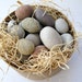 Naturally egg shaped pebble rocks Minimalistic Modern Jewelery