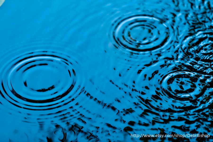 Raindrops Water Ripples Rain Nature Serenity Zen Purity