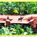 Coat Rack Montana Made Country Rustic Red Cedar Moose Rusty Stars Fish Lodge Forest Woods FTTeam