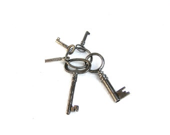 Skeleton keys Small vintage skeleton key set of 5 Old keys collectibles Vintage skeleton key Vintage keys