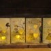 4 Childrens Storybook Luminary Bags called "Amy Sang" (Series of Four) Valentines for Kids, Night Lights, Child Gift, Kids Bedroom Decor
