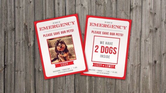 Custom Emergency Pet Cards Stickers Alert Emergency Crews