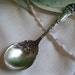 Stafford Siver Co. Lilyta Pattern Berry Spoon