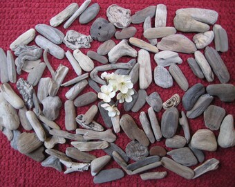 Driftwood, 50 Small Driftwood Pieces, Bulk Drift Wood, 1" to 4" Craft Supplies, Beach Wedding Decor, Wooden Beads