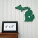 Michigan State Spartans "State Heart" wall art, handcrafted wood featuring official team colors