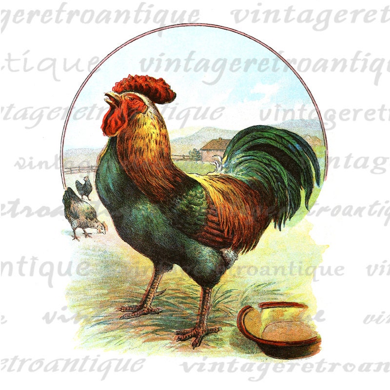 vintage rooster clip art - photo #12