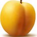 MissApricot