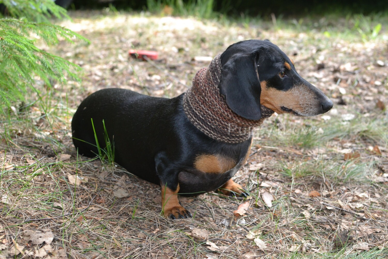 Scarves for dogs Dog collar Pet scarf Pet supplies Dachshund