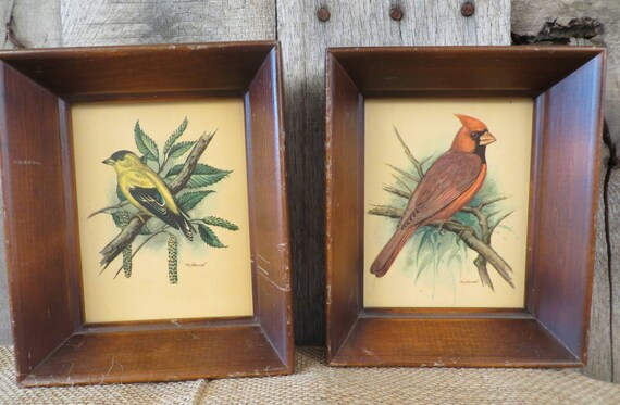 Vintage Framed Bird Prints by Ph. Gonner