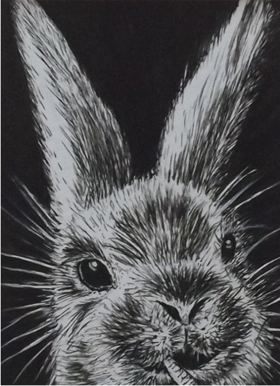 Pen and Ink Rabbit drawing illustration Original art ACEO
