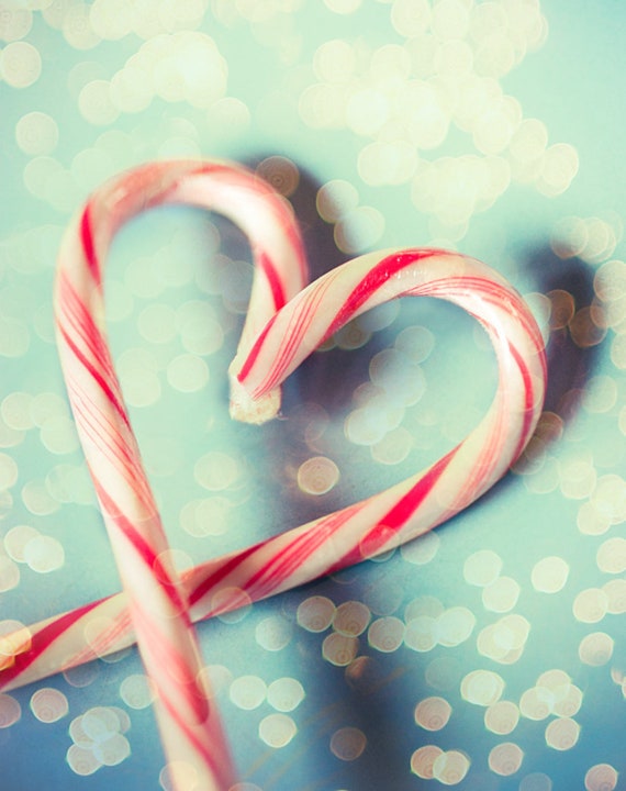 Color photography Candy Cane still life Christmas photo