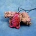 Red Iridescent Trilobite Necklace, Handmade Fossil Inspired Jewelry