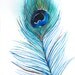 Peacock Feather II - Original Watercolor Painting - Botanical Illustration - Feather Painting - Wall Decor - Studio Clearance