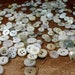 350 Vintage White Buttons. SALE . Shell, abalone, cloth covered, plastic and more.