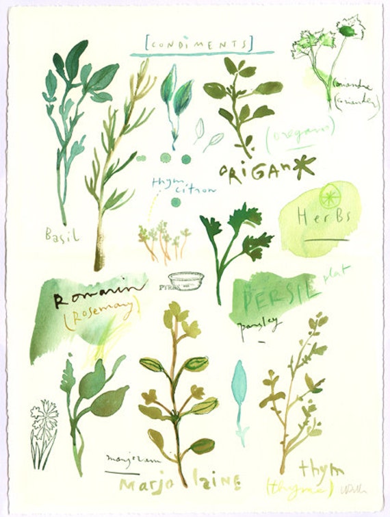 Herbs original watercolor painting Kitchen decor Food art