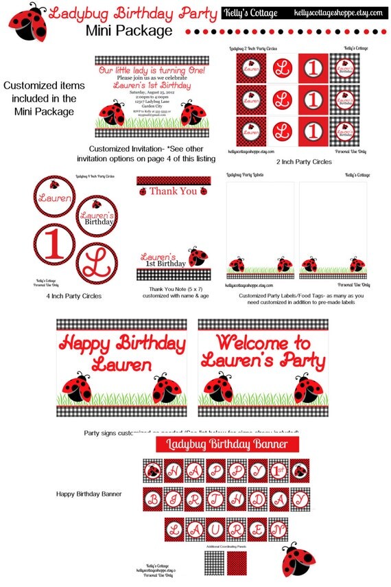 Ladybug Birthday Party Mini Package...Custom, Printable DIY Package Il_570xn
