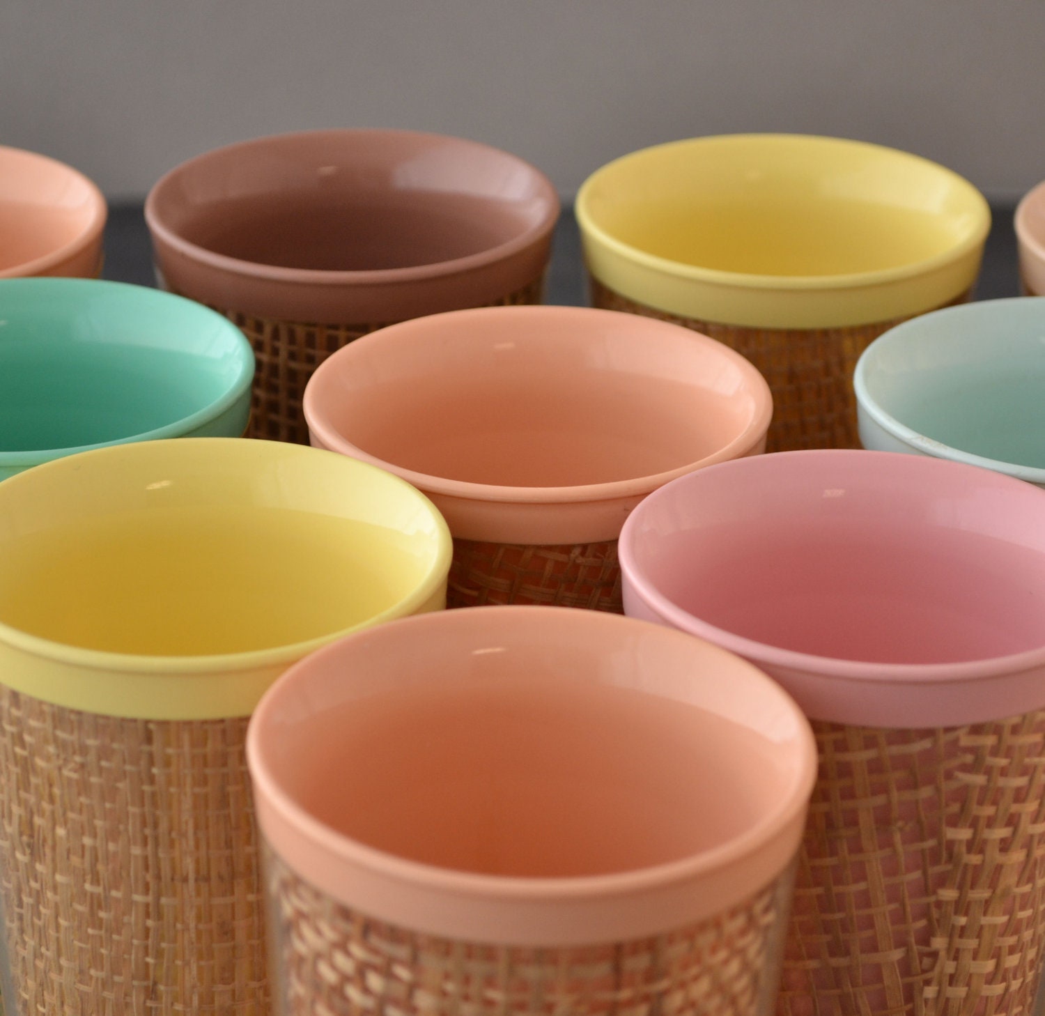 Vintage Pastel Plastic Insulated Tumbler Drinkware Thermo