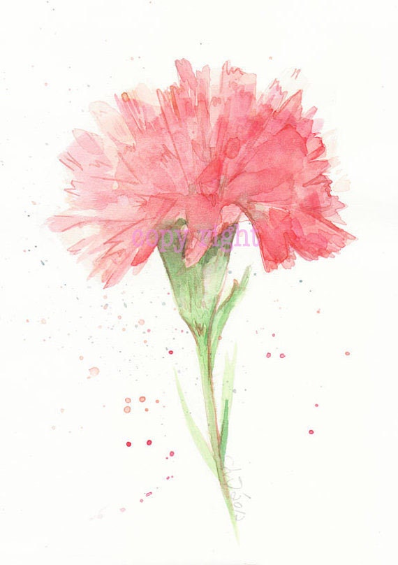 Fine art watercolor painting flower art red CARNATION WATERCOLOR 