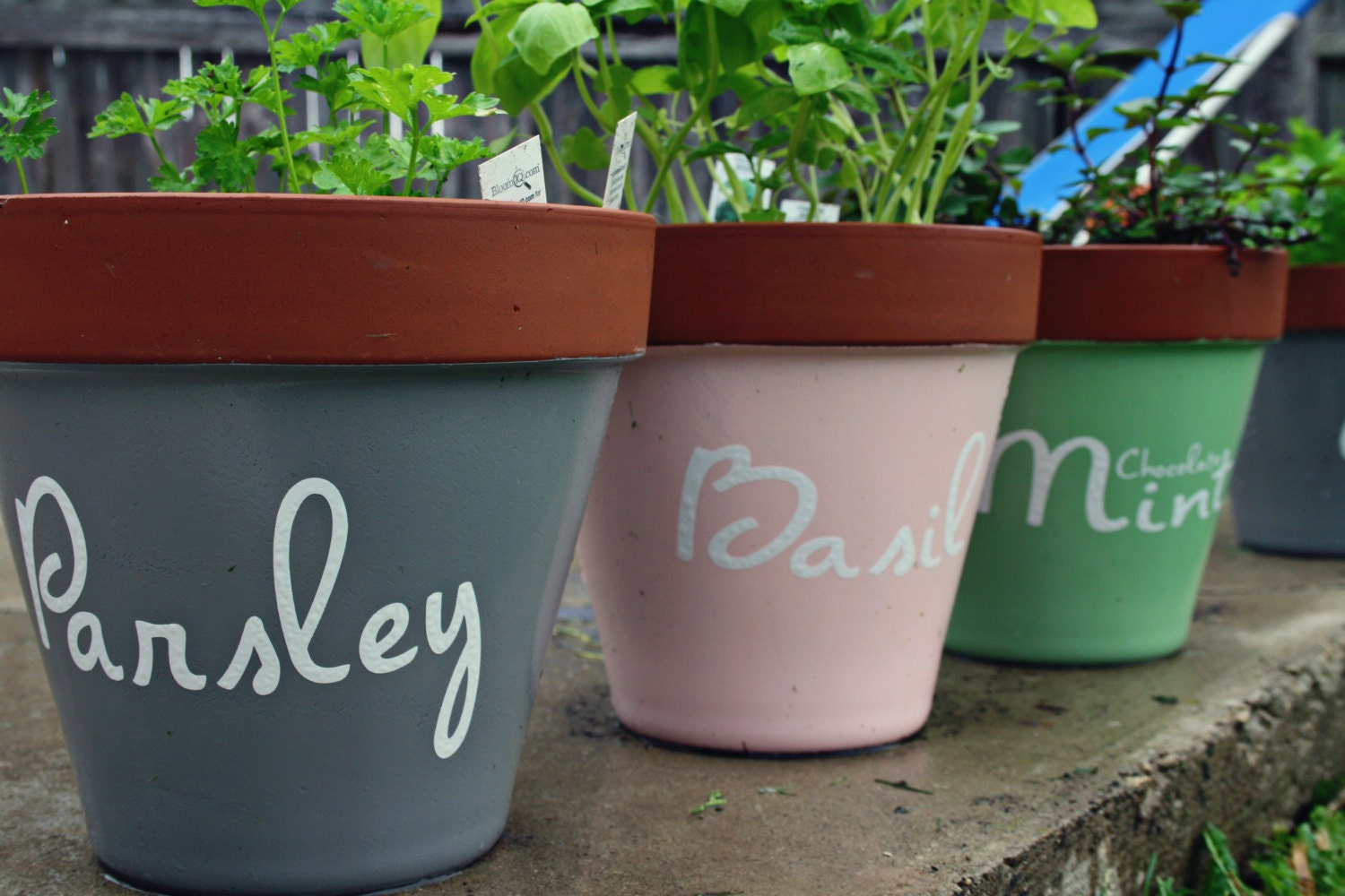 Garden Flower Pot Labels Vinyl