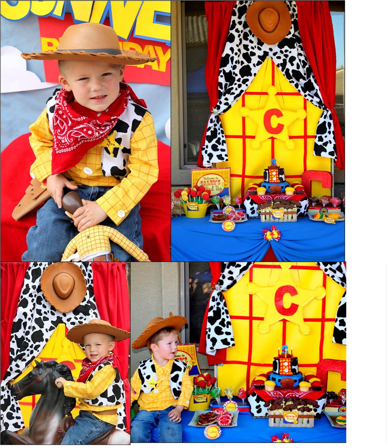 Woody Toy Story Party Ideas