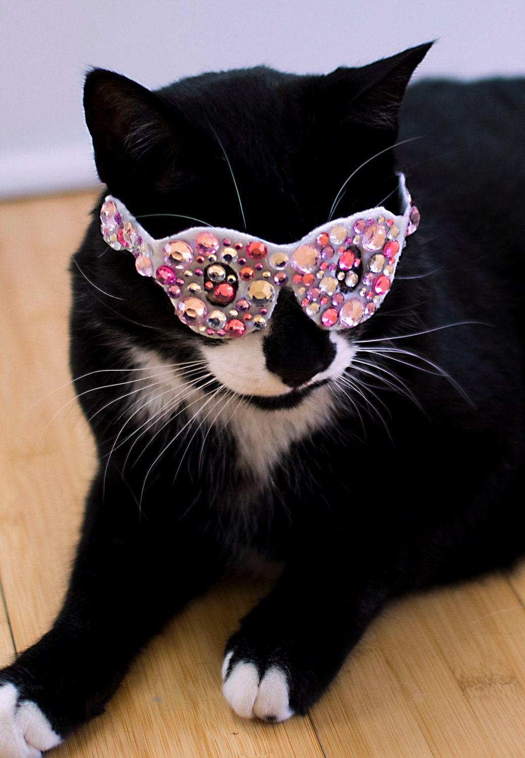 Pink Bling Glasses for Cats