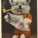 vintage postcard Pipe SMoking Newspaper Reading Dog