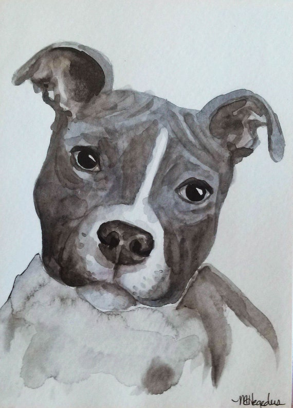 Blue Pit Bull Watercolor 5x7 By Marcyandcoco On Etsy