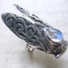 Smoke Wing Cicada Ring- Rainbow Moonstone and Sterling