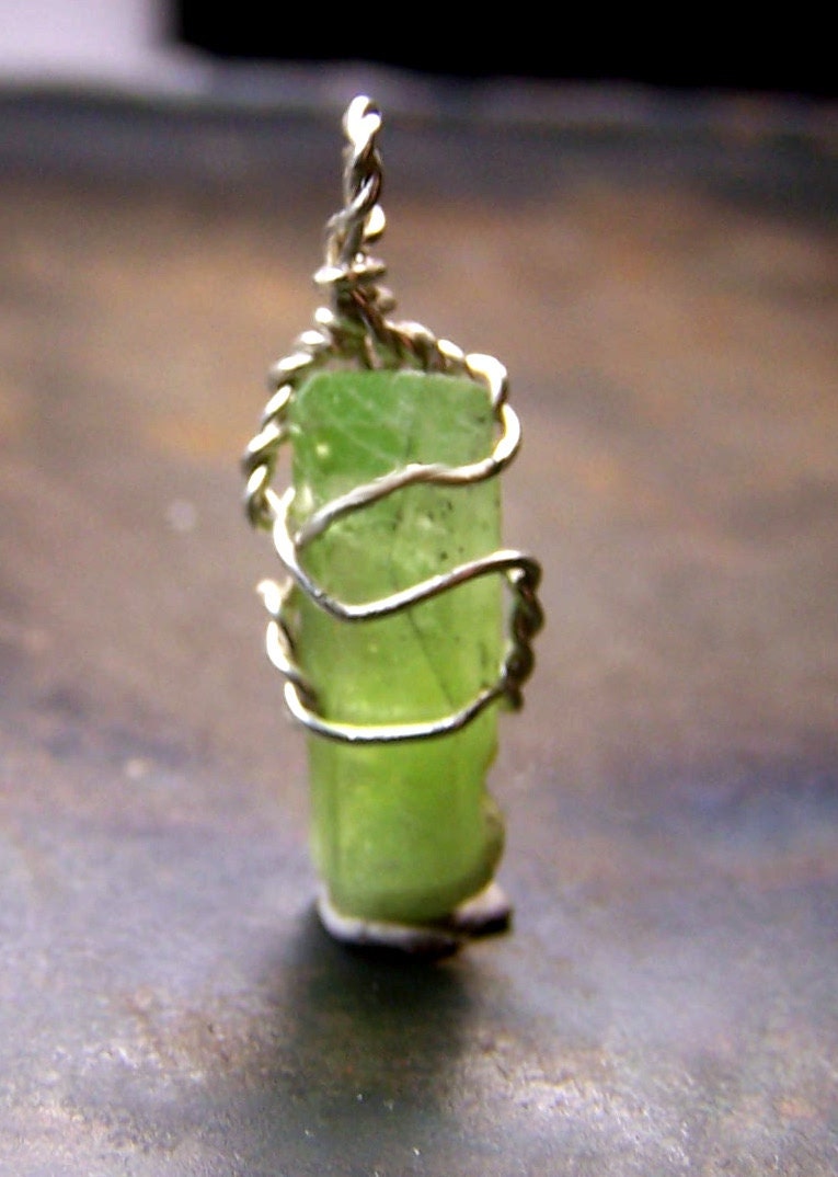 Sterling Silver Mother & Child Necklace Veterinary Apparel