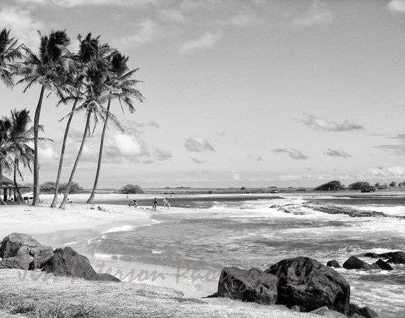 Kauai beach photography Palm Trees Coastal wall art Black