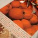 AUTUMN CLIPBOARD Pumpkins and Paisley