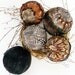 5 Fall Thanksgiving Christmas Halloween PHEASANT Feather Balls Tree Ornaments Lodge Decoration