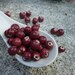 15 Burgundy Round Loose Beads