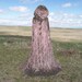 Cloak - Brown Crinkle Velvet- Costume - Fantasy Cape - Halloween Costume